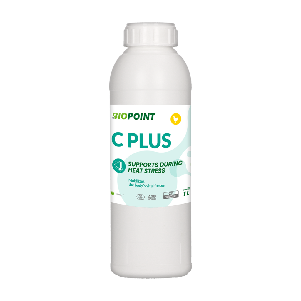 C Plus 1 L