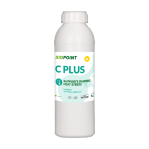 C Plus 1 L
