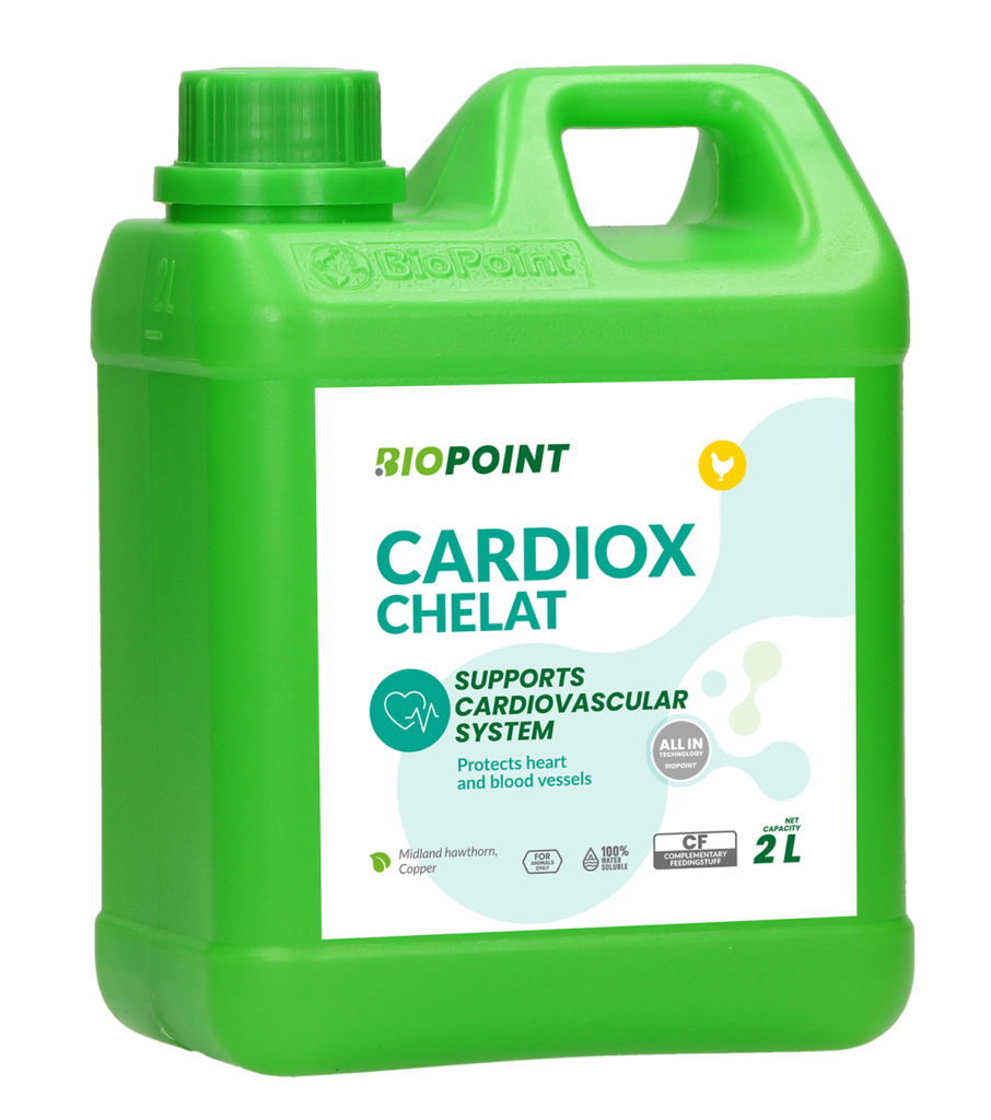 Cardiox chelat 2L A