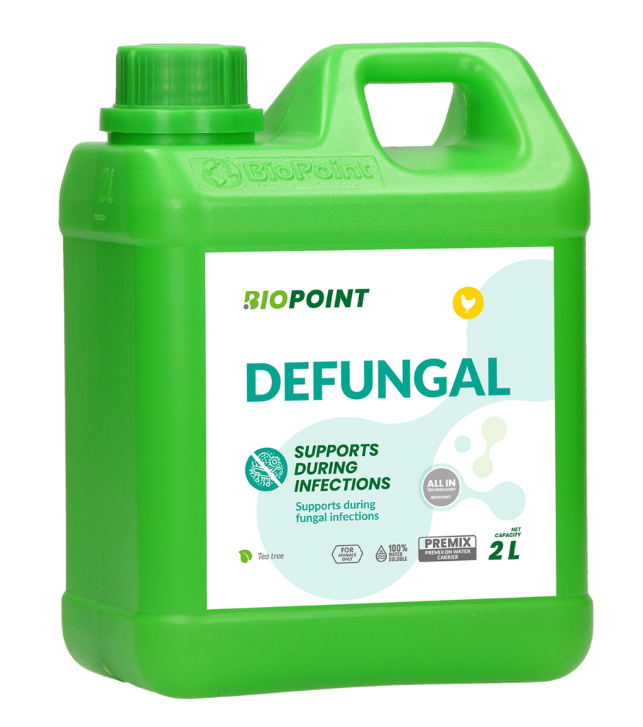 Defungal 2L A