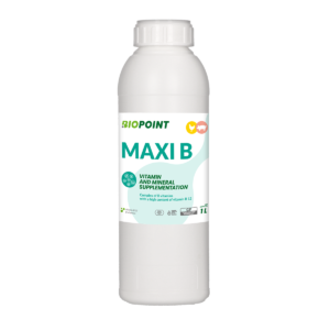 Maxi B 1 L