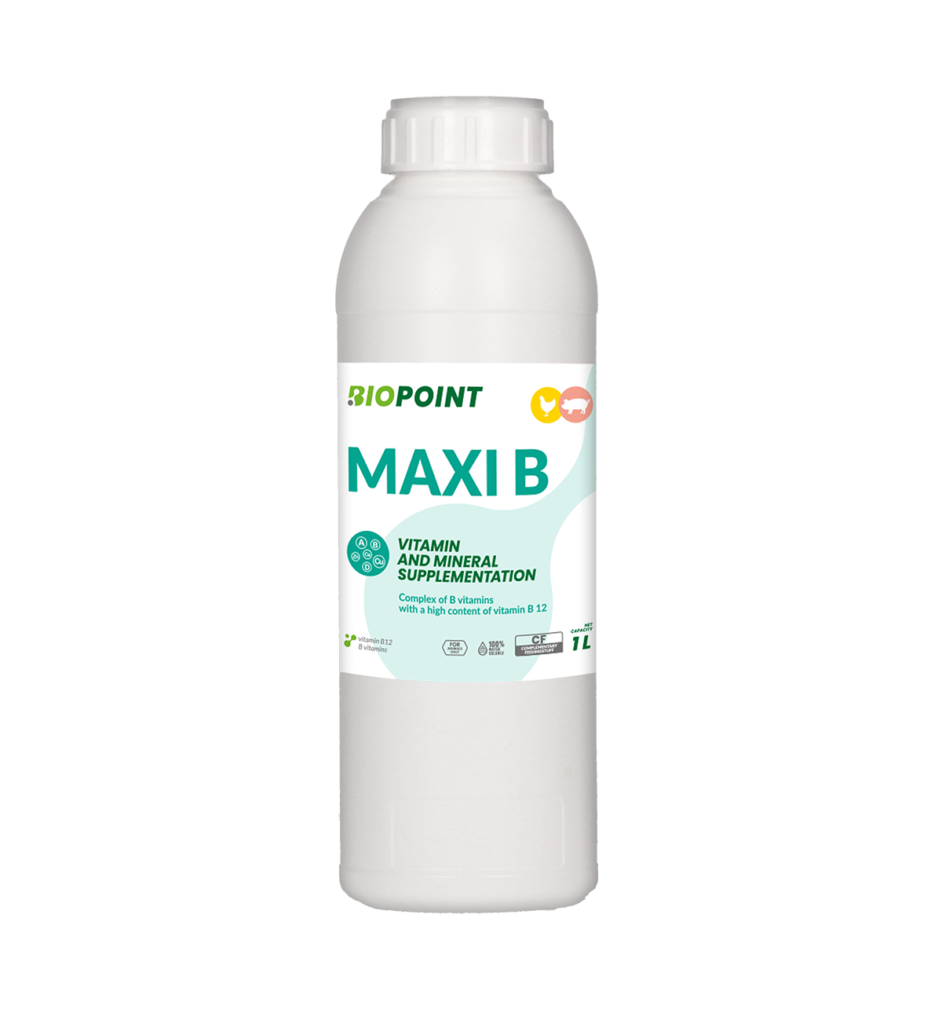 Maxi B 1 L
