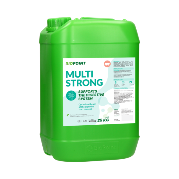 Multi Strong 25kg A