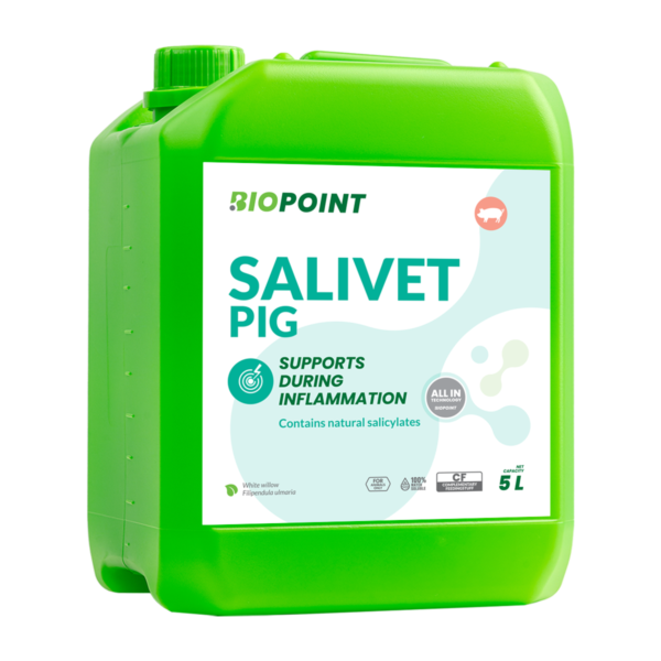 Salivet Pig 5L A