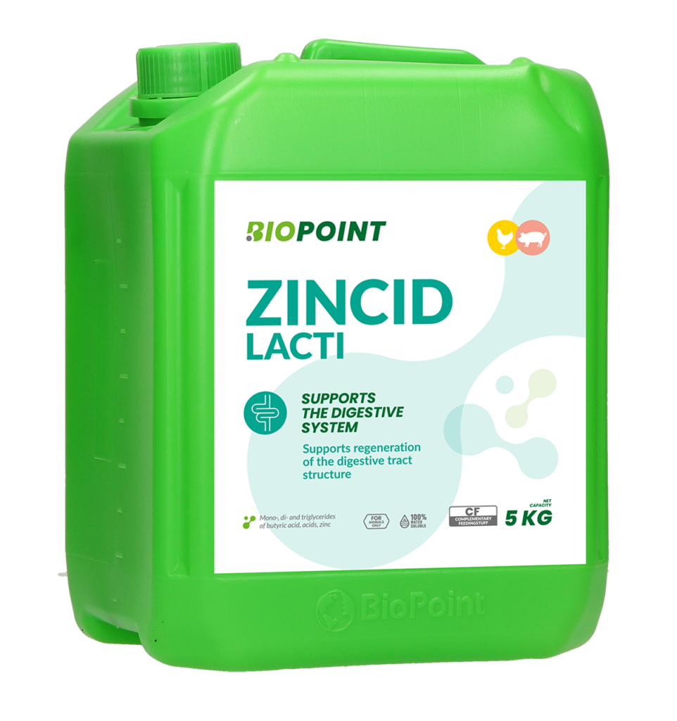 Zincid Lacti 5L A 1