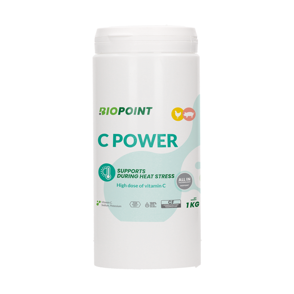 C Power 1 kg